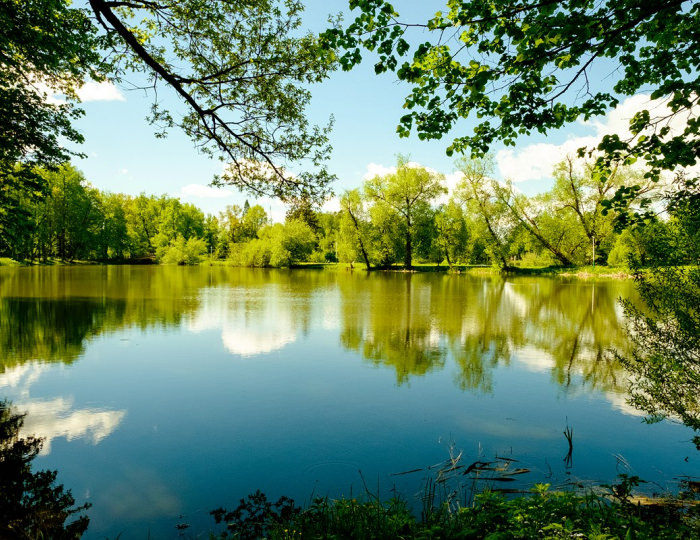 Внешний вид и территория - Парк-отель AMAKS «Ершово»